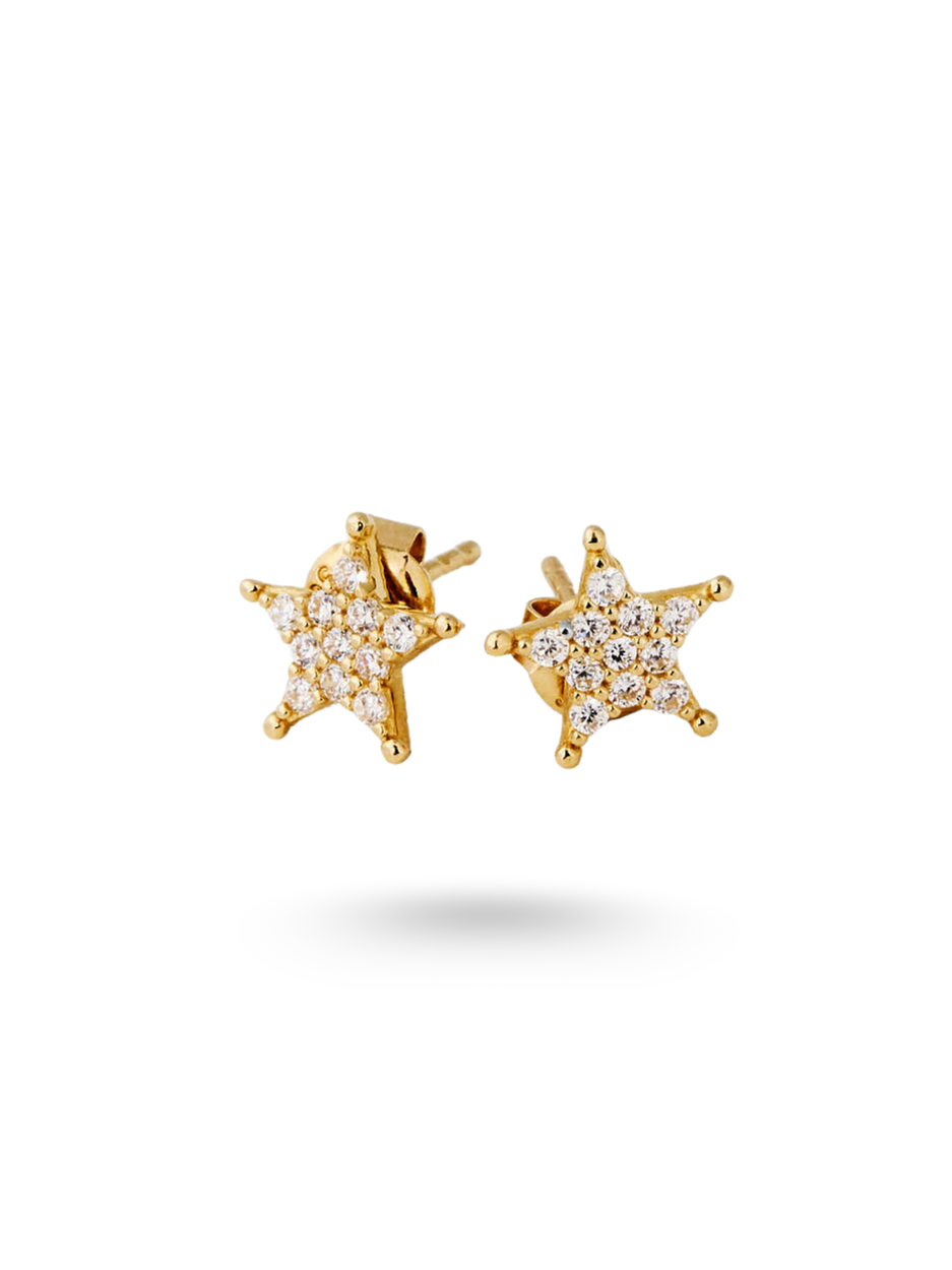 1.25 Gr. Faryel Star Altın Stud Küpe