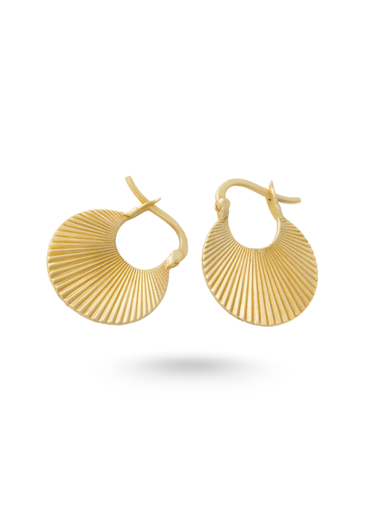 Zawadi Hoops