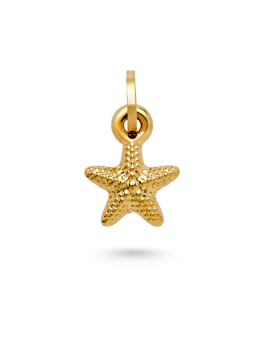 Starfish Charm