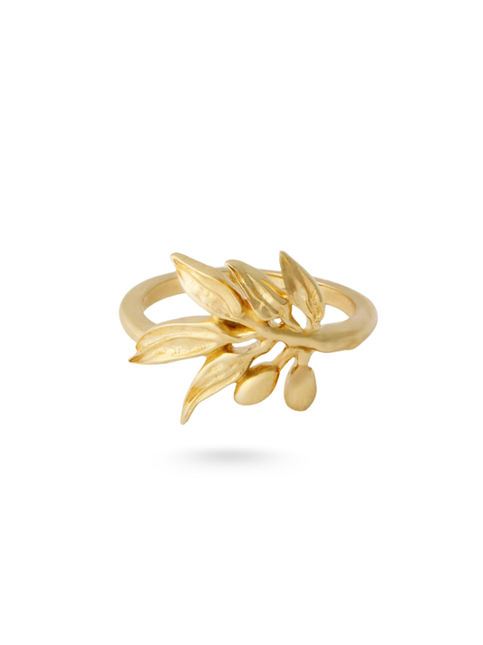 Zeytin Dalı Ring