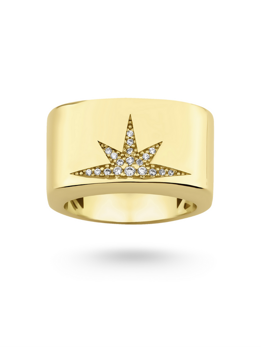 Astralis Band Ring